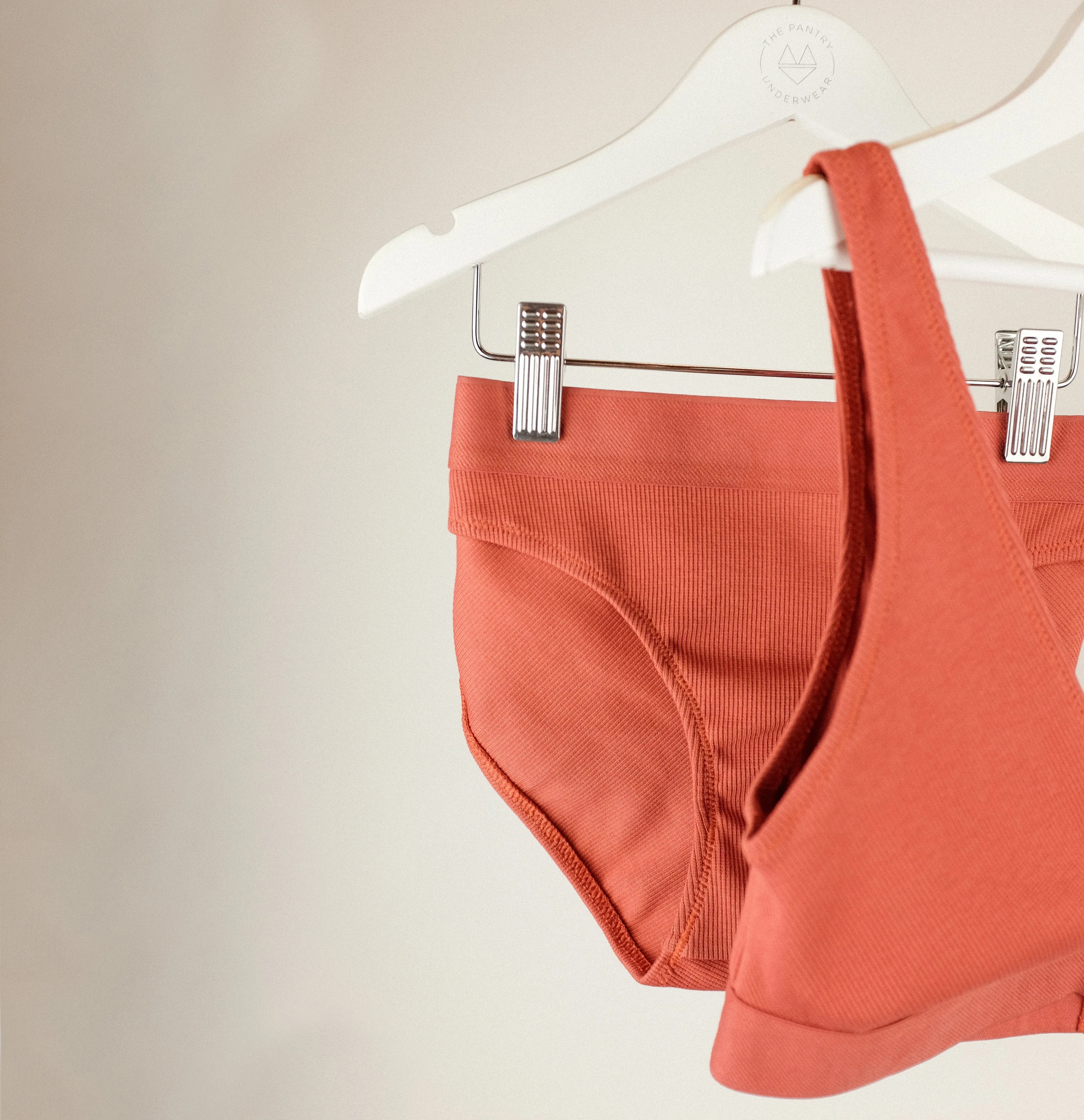 Cotton rib bikini brief [Terracotta]