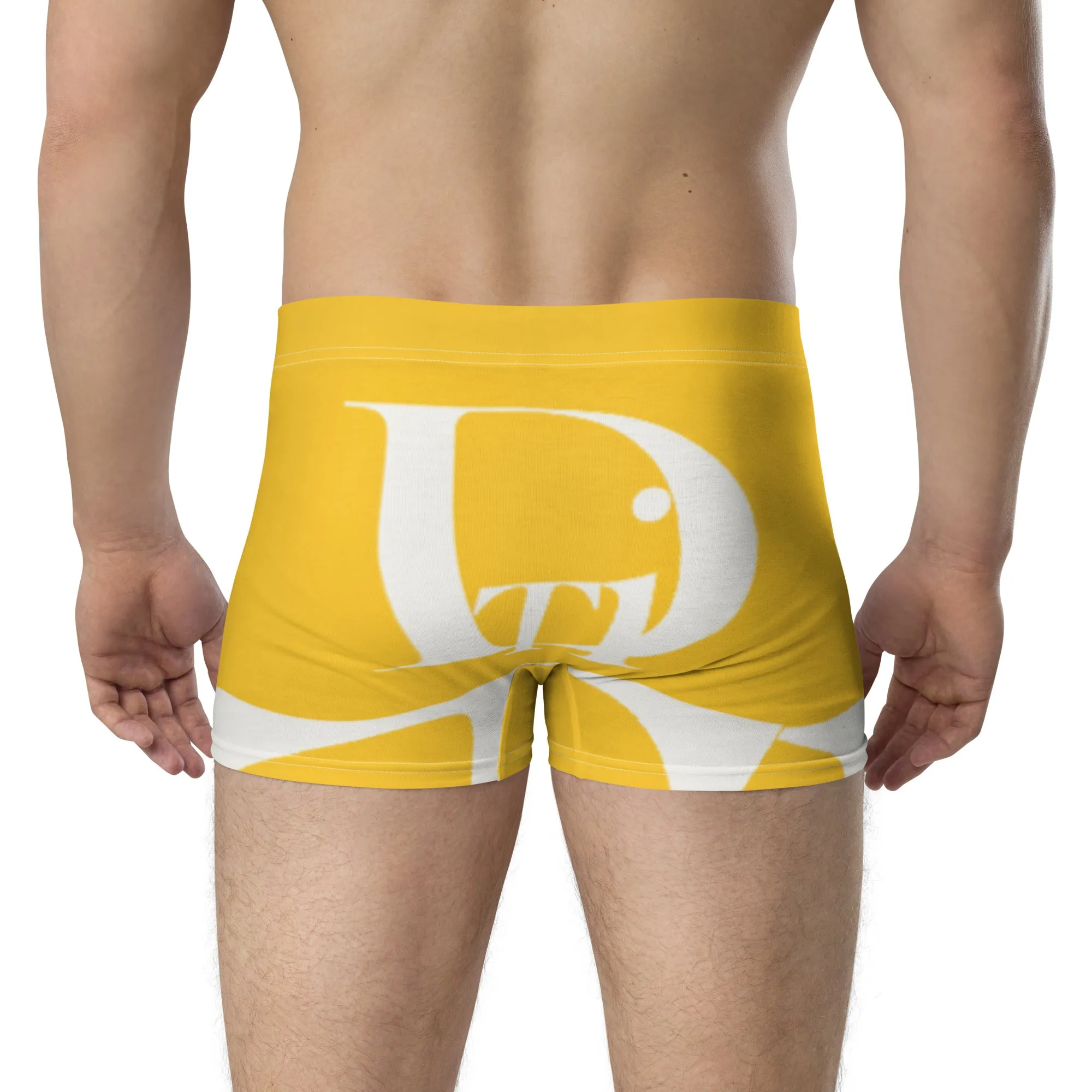 Descendants of The Island Canary Boxer Briefs