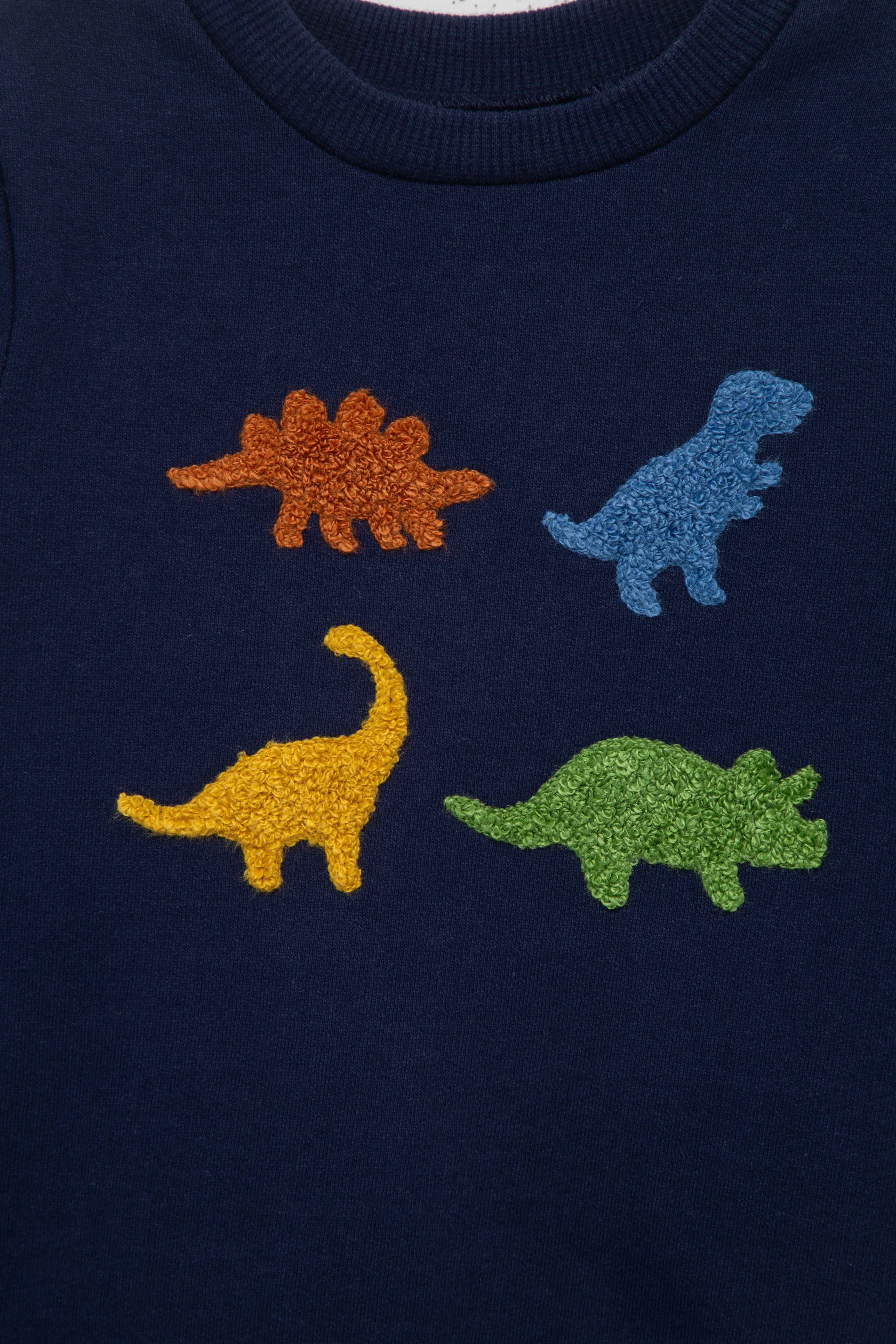 Dino Sweatshirt Set (12M-24M)