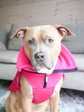 Dog Coat With Zip - Shower Proof - Carminerose