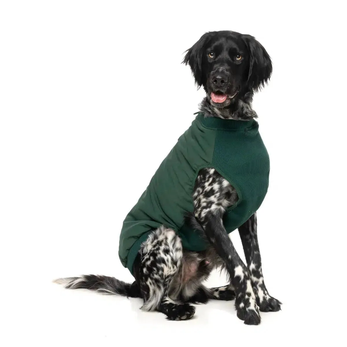 FuzzYard | East MacGyver Dog Harness Jacket - Green