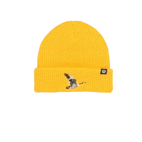 Goorin Bros Ribbed Goose Toque (Gold)