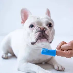 Oxyfresh Finger Brush for Pets