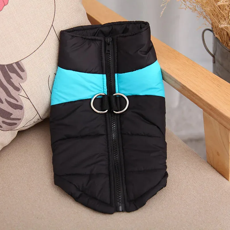 Premium Waterproof Winter Dog Coat - Tailored for Dogs of All Sizes, - Keep Your dog Cozy, All Sizes