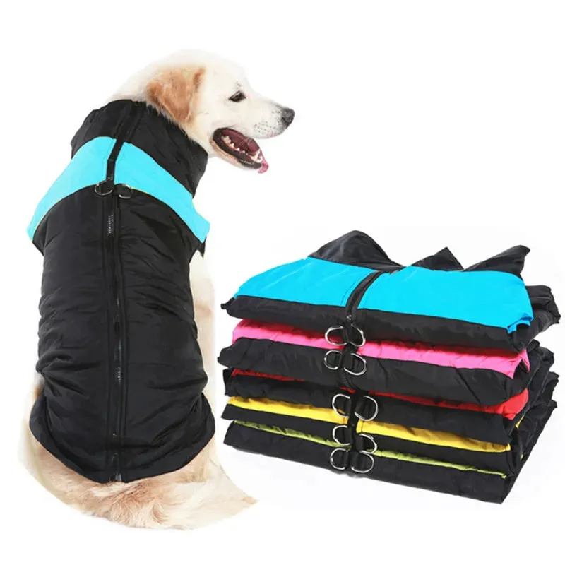 Premium Waterproof Winter Dog Coat - Tailored for Dogs of All Sizes, - Keep Your dog Cozy, All Sizes