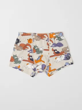 Sleepy Fox Boys Boxers