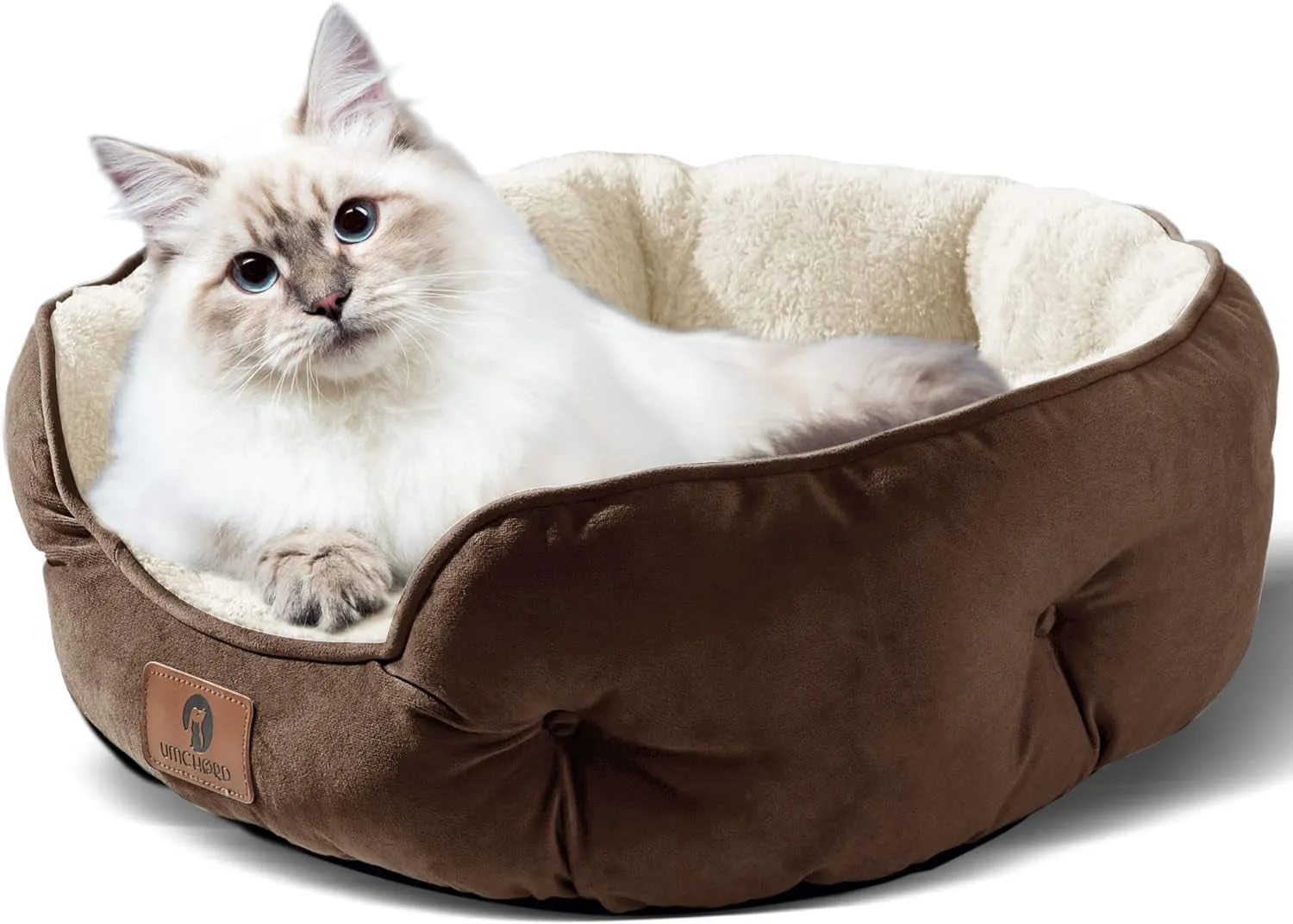 Small Dog Bed for Large Dogs, Cat Beds for Indoor Cat