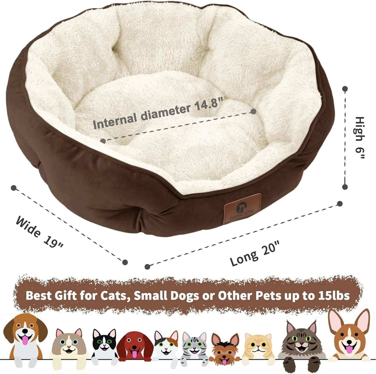 Small Dog Bed for Large Dogs, Cat Beds for Indoor Cat